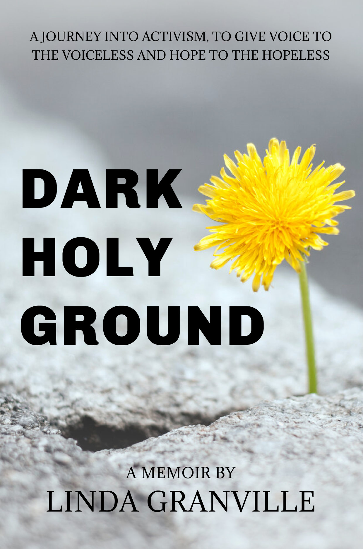 DARK HOLY GROUND: In the light of what’s happening in this chaotic world today, I feel moved to tell my story with all its different facets, because my main hope is that the reader will see the human face of the marginalised. Then, hopefully, gain a more compassionate understanding of all those who live on the margins of society. I hope the reader finds clues on how to make connections with people different from them, or to change the top down competitive economic system so all people are justly valued whether they were in paid work or out of paid work.